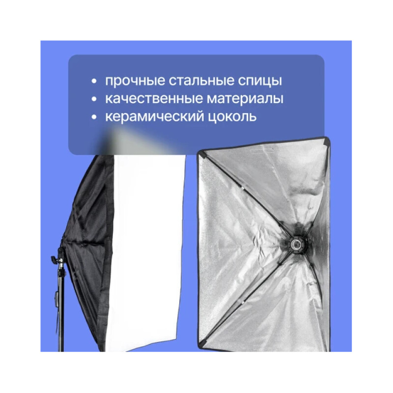 Raylab D-Light 2 светодиодный комплект постоянного света