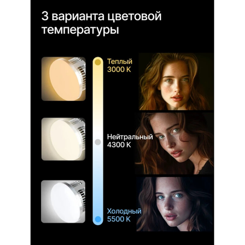 Raylab D-Light 2 светодиодный комплект постоянного света