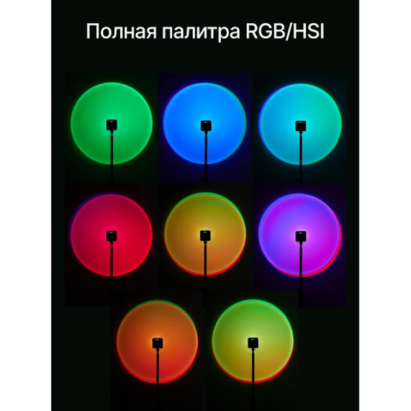 Raylab RL-LED06-S 2500-9000K 2000mAh осветитель светодиодный