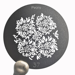 Fotokvant GMA-37-66 Gobo mask Peony маска гобо 66 мм