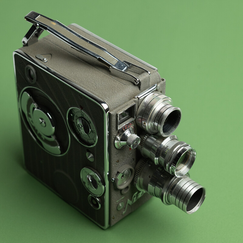 Fotokvant BSB-5050-CONIFERS мягкий фон хвойный