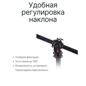 Raylab BS09 журавль