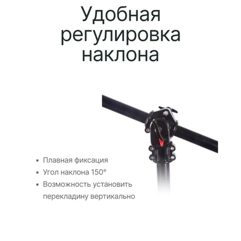 Raylab BS09 журавль