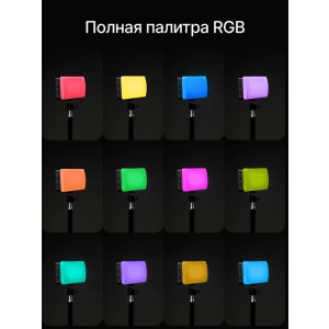 Raylab RL-LED20RGB осветитель светодиодный