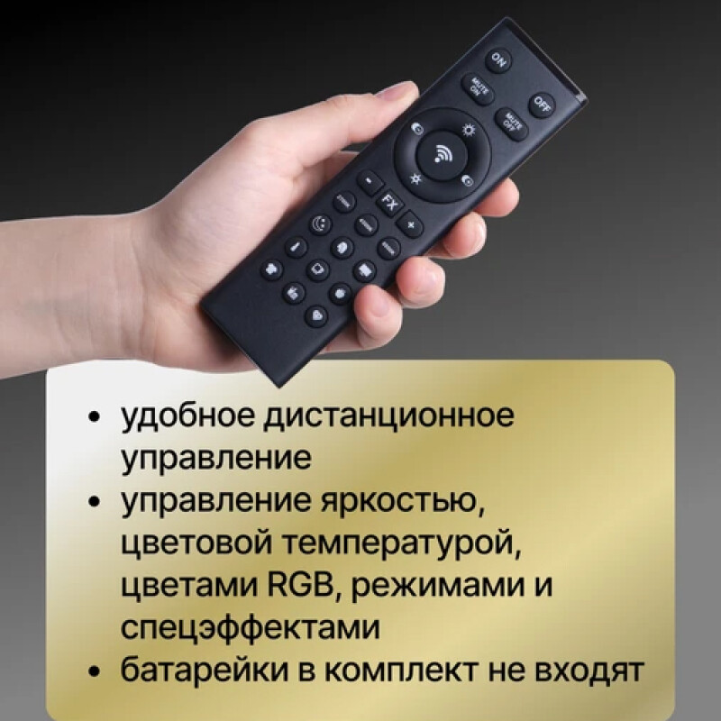 Raylab RL-300PRO RGB осветитель светодиодный