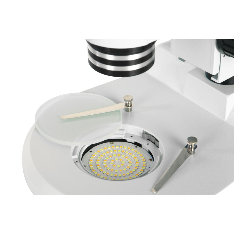 Микромед MC-A-0650 Trino микроскоп стерео