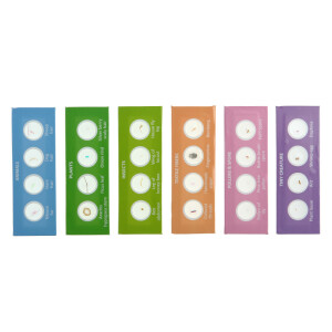 Микромед №24 набор микропрепаратов