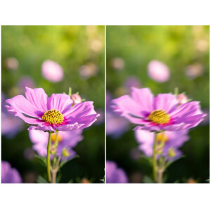images