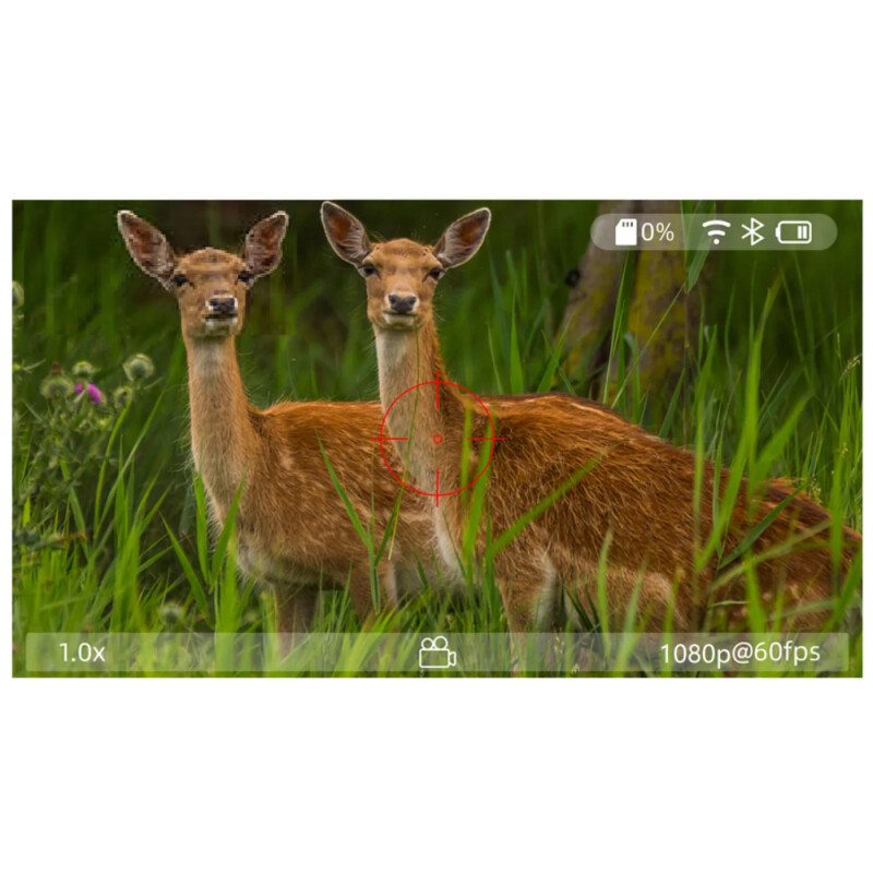 Veber DigitalHunt R44X6-48 прицел цифровой ночной