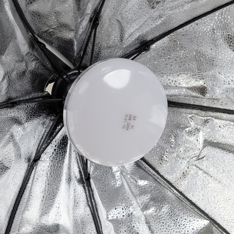 Grifon LED-60 OKTO комплект с одним октобоксом 30 Вт