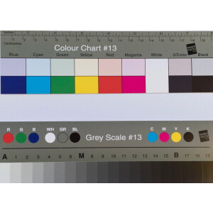 Danes Picta Small Greyscale and Colour Separation Guide BST13 комплект цветовых шкал