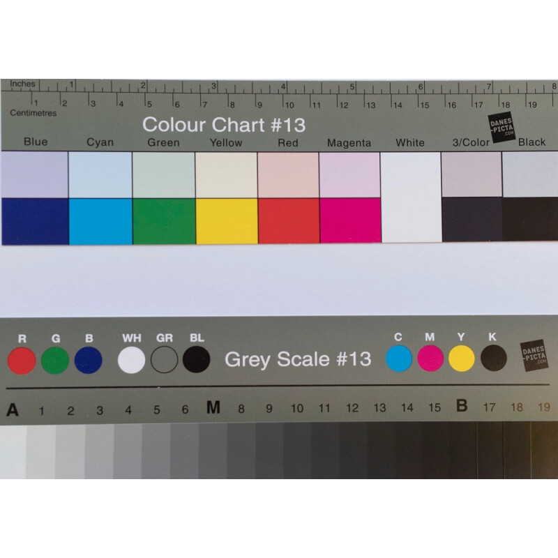 Danes Picta Small Greyscale and Colour Separation Guide BST13 комплект цветовых шкал
