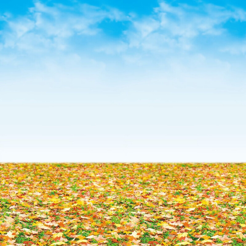 Ella Bella FDLS AUTMN LNDSCP (56295) фон бумажный осенний пейзаж 120х1500 см