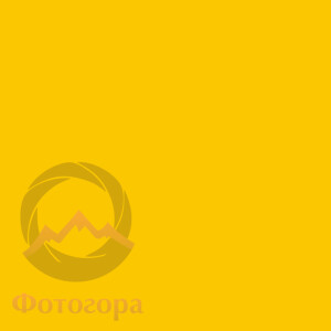 Fotokvant BN-1650 Sunflower нетканый фон 1,6х5,0 м подсолнечник