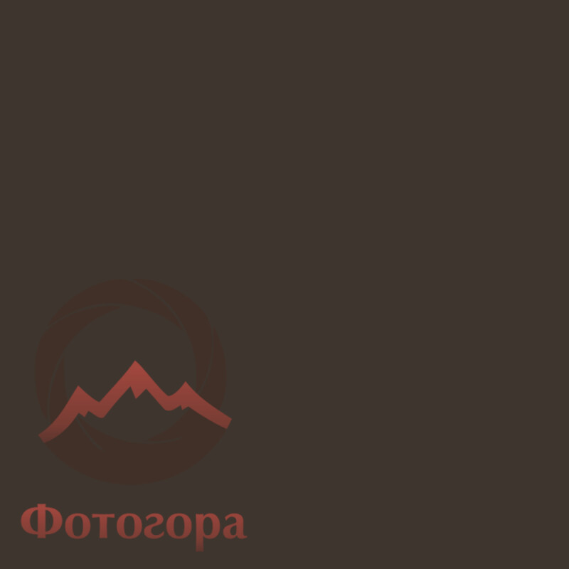 Fotokvant BN-2711 Gray нетканый фон 2,75х11 м серый