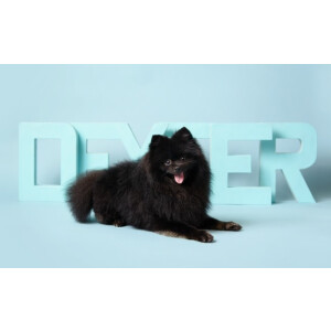 Superior 02 Sky Blue фон бумажный 2,72x11м цвет небесно-голубой.