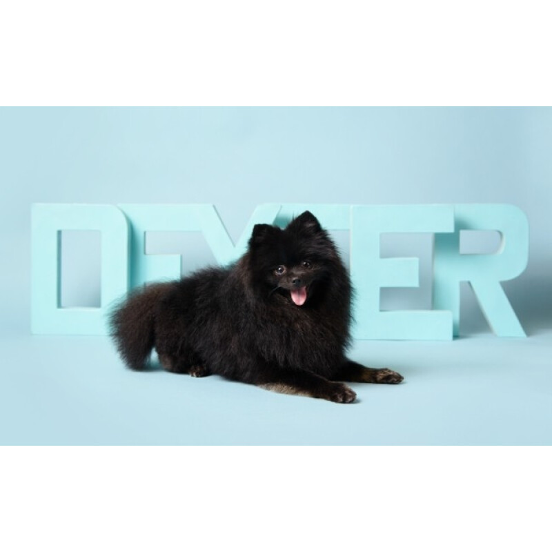 Superior 02 Sky Blue фон бумажный 2,72x11м цвет небесно-голубой.