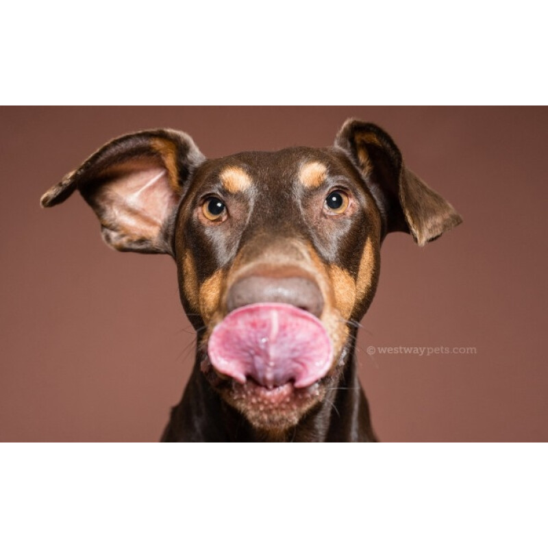 Superior 20 Coco Brown фон бумажный 2,72x11м цвет коричневый