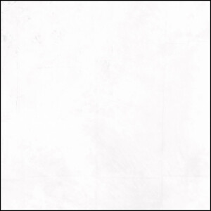 Falcon Eyes (22629) фон тканевый белый 300x600 см