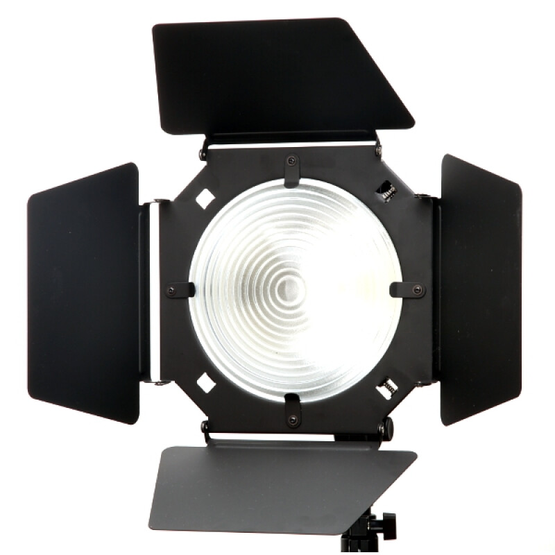 Raylab RBD-99FL четырехлепестковые шторки с линзой Френеля