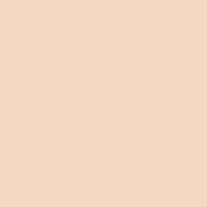 П-Фото BN-2860 Beige фотофон нетканый 2,8х6 м бежевый