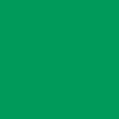 Colorama CO564 Apple Green фон бумажный 1,35x11 м цвет зеленое яблоко Colorama CO564 Apple Green фон бумажный 1,35x11 м цвет зеленое яблоко