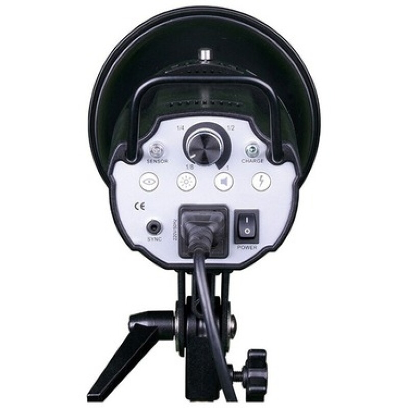 Raylab Axio2 RX-150 студийный моноблок