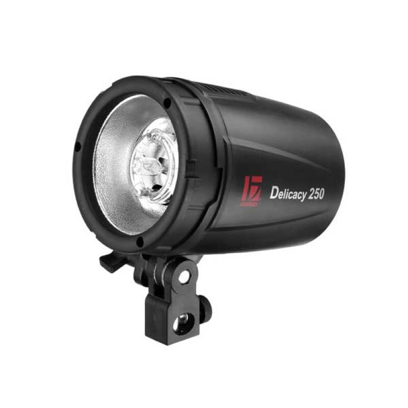 Jinbei D250 KIT 2 комплект импульсного освещения