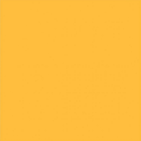 FST 1014 GINGER фон бумажный оранжевый 2,72х11 м