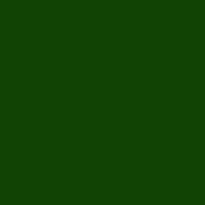 FST 1006 DARK GREEN фон бумажный зеленый 2,72х11 м