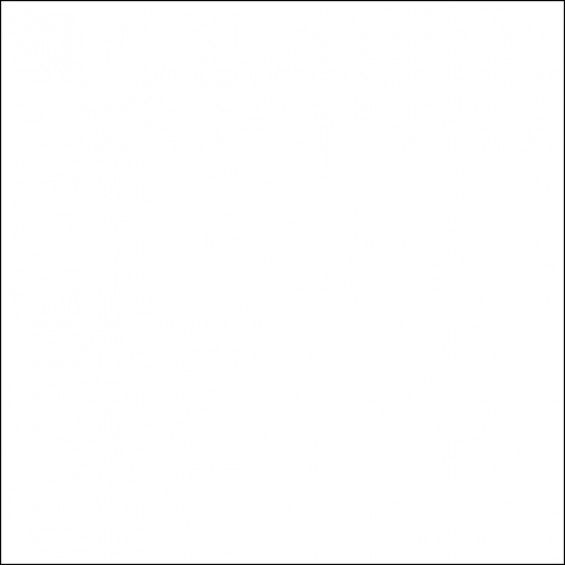 FST 100х200 W фон пластиковый белый матовый