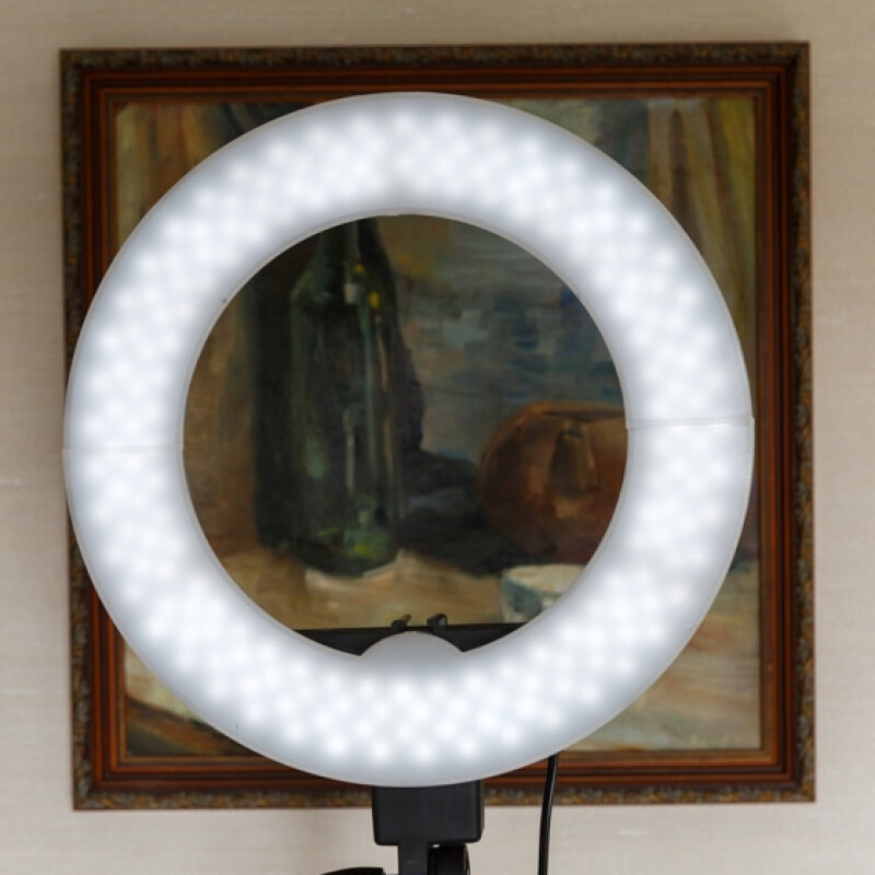 FST LED 12-RL кольцевой светодиодный осветитель