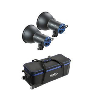 Hensel Integra Mini 300 (8370P4201) комплект студийных осветителей 2 шт.
