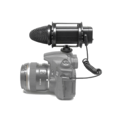 Fujimi слышит в нужную сторону!