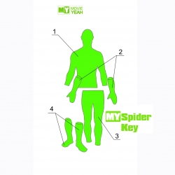 Части тела MY Spider Key