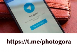 Наш канал в Telegram