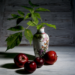 Деревянные фоны - экслюзивность и новые горизонты для предметной съемки