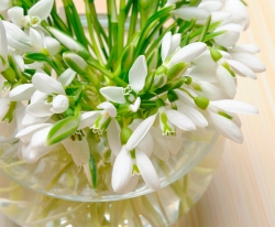 С праздником весны!