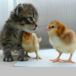 Большое пополнение ассортимента магазина