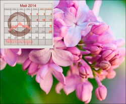 Расписание выходных дней