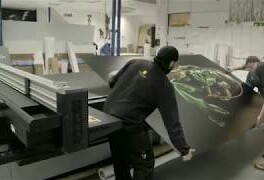 Микрофотография, или Как снимать насекомых для коллекции с помощью микроскопа