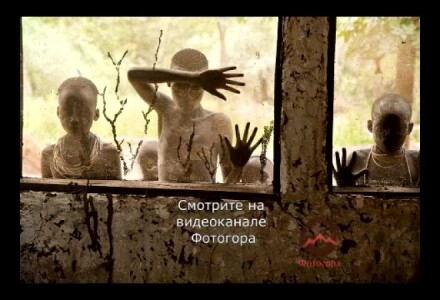 Стив МакКарри - легендарный американский фотожурналист и автор "афганской девочки"