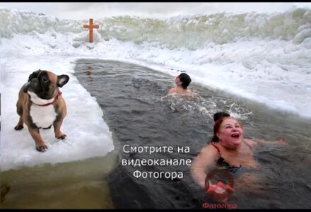 Александр Петросян - гений стрит-арта и репортажной съемки